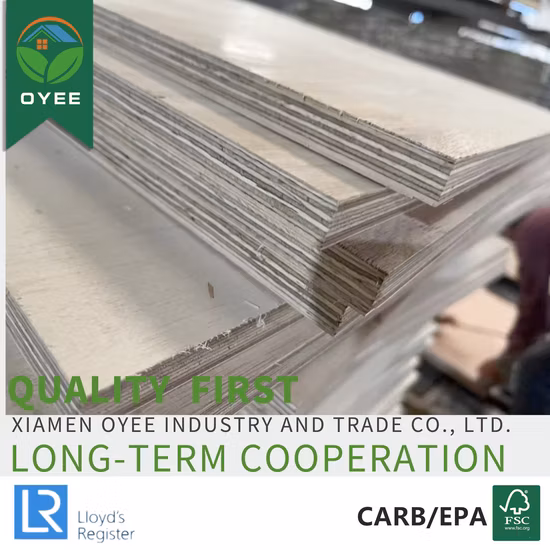 Oyee 12mm 18mm Phenolic Resin Coated 100% White Birch Plywood Board